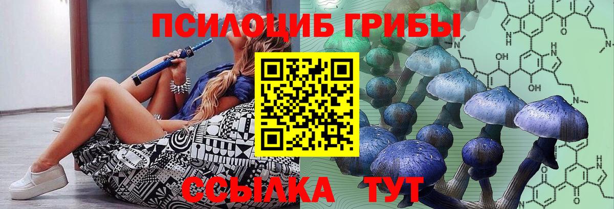 Галлюциногенные грибы Psilocybe Чапаевск
