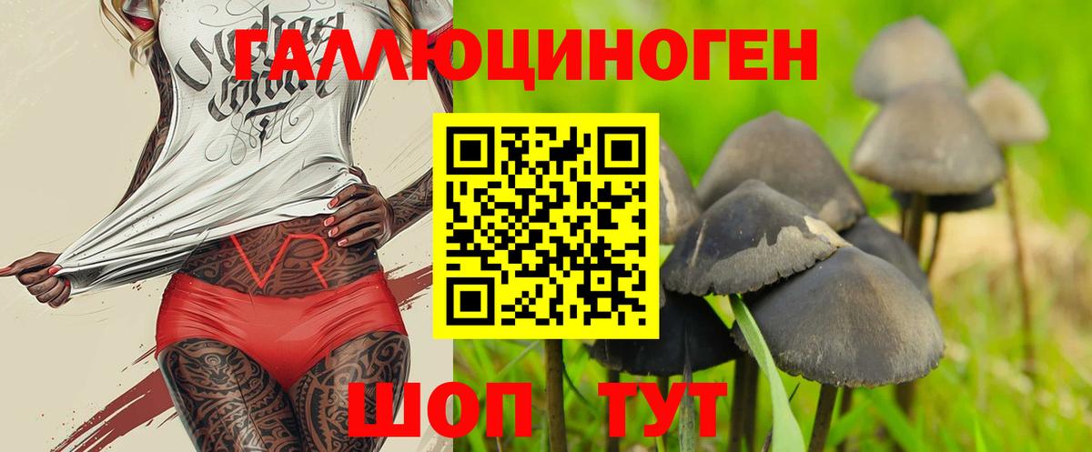 Чапаевск  Галлюциногенные грибы мухоморы  Вход с VPN 