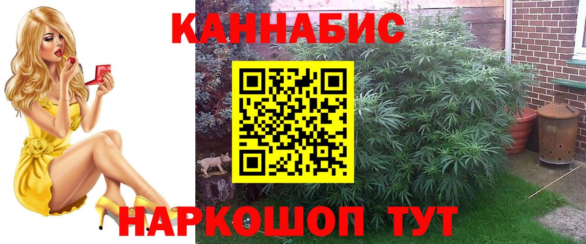 Бошки марихуана VHQ Чапаевск